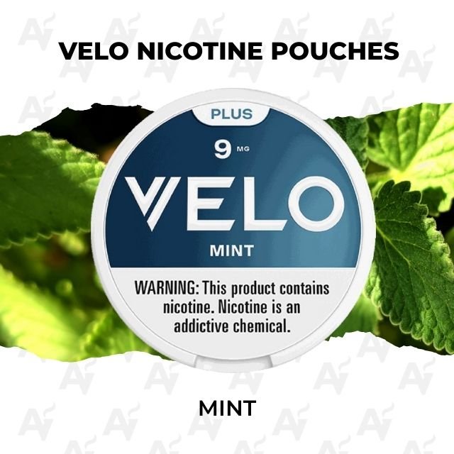 VELO Nicotine Pouches – Mint