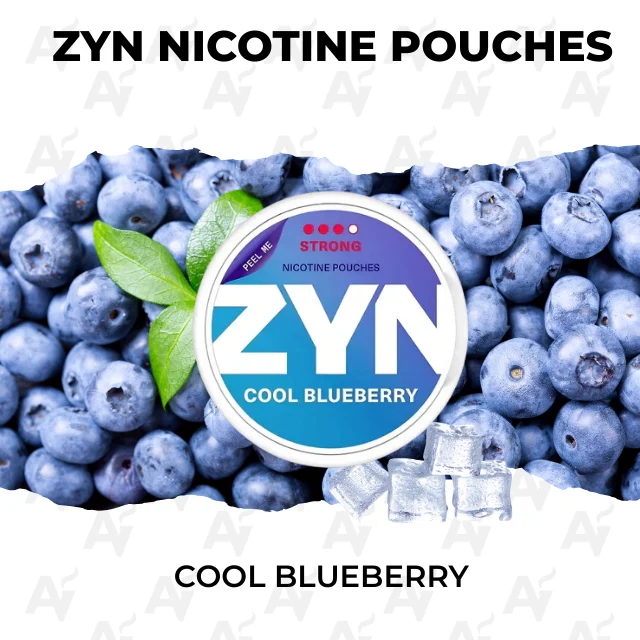 ZYN Nicotine Pouches – Cool Blueberry