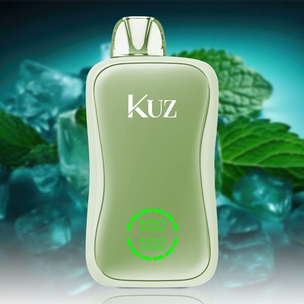 kuz flow 25000 puffs miami mint